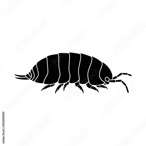 Beetle Silhouette Icon – Insect Bug Minimal Black Vector Illustration