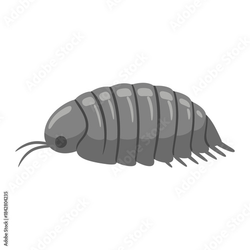 Pill Bug Illustration – Isopod Woodlouse Roly Poly Vector Icon