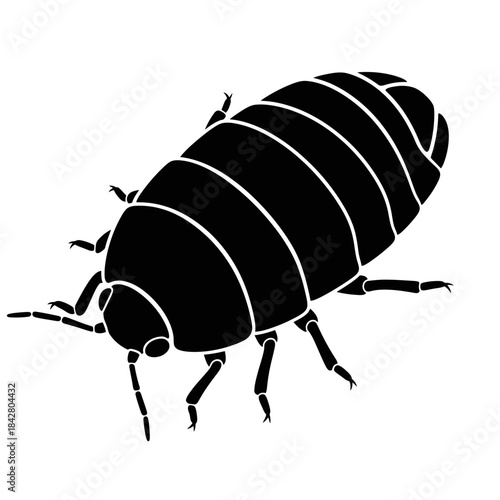 Beetle Silhouette Icon – Insect Bug Minimal Black Vector Illustration
