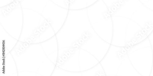 Abstract white gradient circle pattern of 3d bubbles background template. abstract white modern transparency circle presentation background. bubbles, illustration, design, in illustration design.