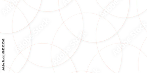 Abstract white gradient circle pattern of 3d bubbles background template. abstract white modern transparency circle presentation background. bubbles, illustration, design, in illustration design.
