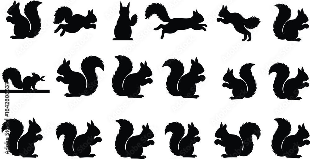 Naklejka premium PrintSquirrel silhouette collection, black squirrel poses, wildlife vector set, animal clipart, jumping squirrel, crouching squirrel, nature illustration bundle