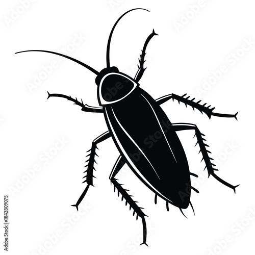 Cockroach Vector Illustration, Insect Line Art.