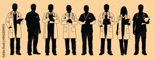 Diverse group of medical professionals standing together in silhouette