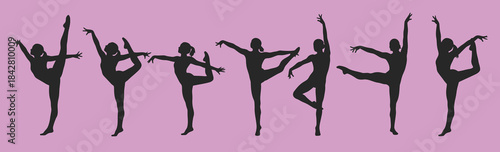 Adobe Illustrator Artwork