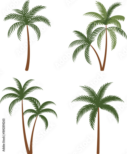 Palm tree, tropical, foliage, trunk, green, stylized, cartoon, nature, beach, summer, island, vector, icon, plant, exotic, decorative, landscape, illustration, outdoor, design