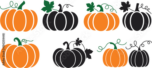 Pumpkin, autumn, Halloween, orange, black, leaf, stem, vine, cartoon, decorative, seasonal, harvest, vector, icon, plant, festive, illustration, design, nature, vegetable