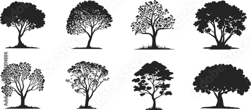 Tree silhouette, black, foliage, branching, shape, forest, nature, icon, vector, design, plant, structure, landscape, illustration, decorative, seasonal, outdoor, botanical, environment, style