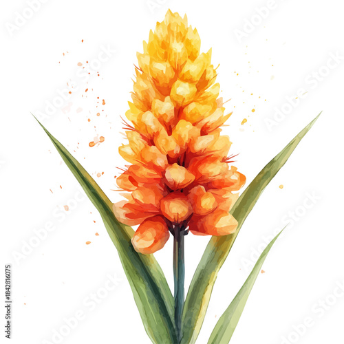 Red Hot Poker Flower, whimsical watercolor vector illustration with vibrant highlights and delicate strokes, isolated on a white background.