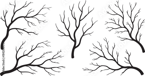 Vector collection of black silhouettes of tree branches isolated on white background	
