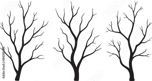 Vector collection of black silhouettes of tree branches isolated on white background	
