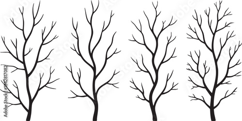 Vector collection of black silhouettes of tree branches isolated on white background	
