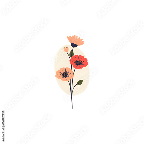 poppy flowers isolated on white background
