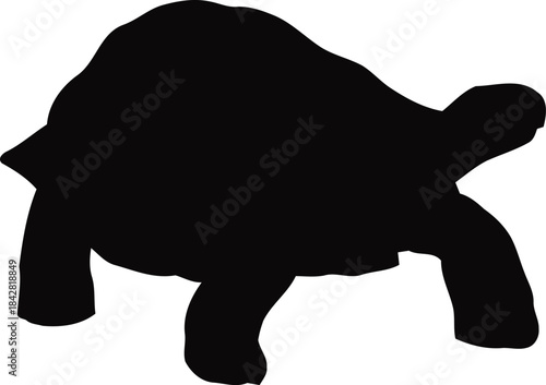 Black silhouette of a giant tortoise walking on a white background