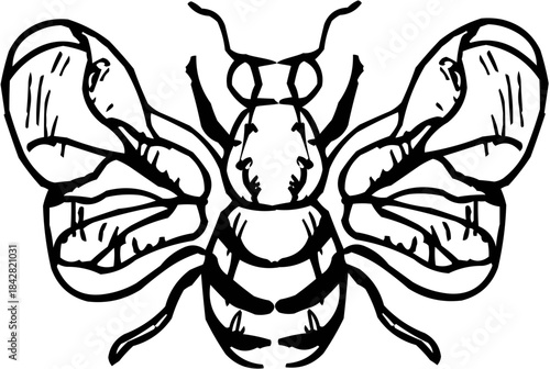 Hand-Drawn Sketch Isolated Simple Flying Bee Insect