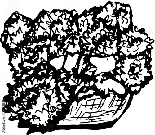 Hand-Drawn Sketch Wicker Basket Full of Flowers Outline