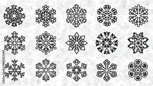 Black and white illustration of various snowflakes on a gray background with snowflake patterns