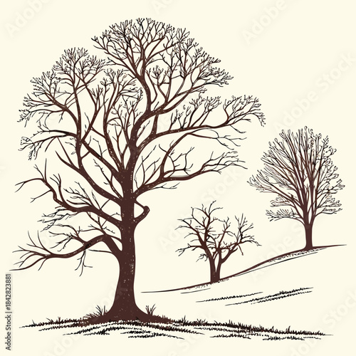 Leafless Winter Trees on Hill – Hand Drawn Landscape Illustration