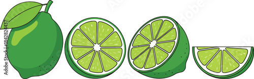 Fresh lime fruit vector set, fresh green cut citrus icon, lime flat vector illustration on white background