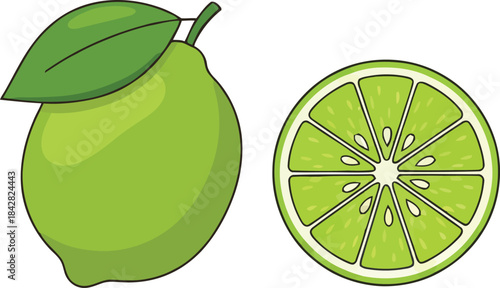 Fresh lime fruit vector set, fresh green cut citrus icon, lime flat vector illustration on white background
