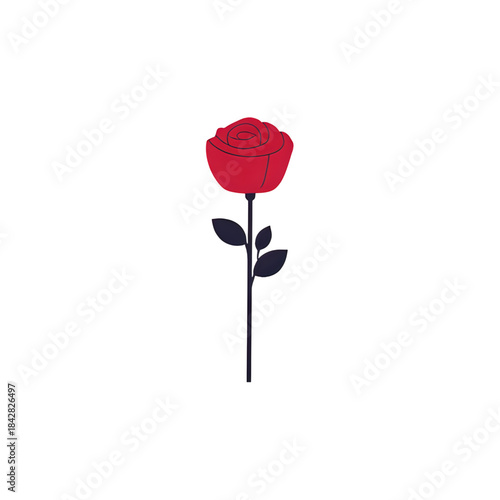 red rose isolated on white