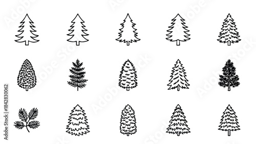 Black and white illustration of various pine trees in a simple graphic style.