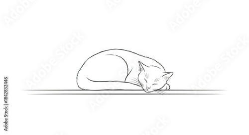 White line drawing of a sleeping cat on a black background napping resting