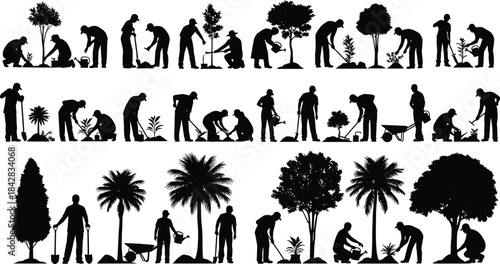 Tree planting silhouettes, gardening activity, environmental care, human figures, shovel, watering, wheelbarrow, sapling, black vector, nature conservation, white background, outdoor work