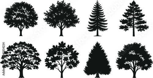 PrintTree silhouette illustration, botanical diversity, foliage shapes, deciduous and evergreen, black vector, landscape design, nature study, species comparison, grid layout