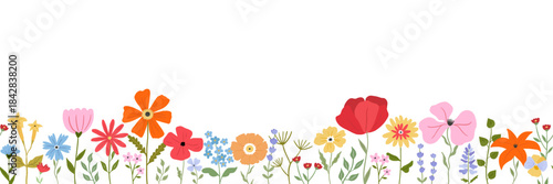 Flower seamless border, spring floral background. Garden frame with cute summer plant. Wildflowers and leaves for vintage card or botanical wallpaper and vector isolated decoration