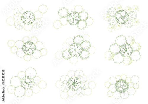 architecture drawing plant tree top view plan greenery vegetation vector. design nature architectural landscape set element illustration bush garden flora sapling minimal. architect isolated.