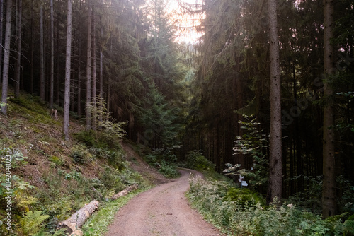 Black Forest landscape