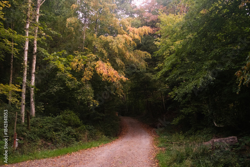 Black Forest landscape