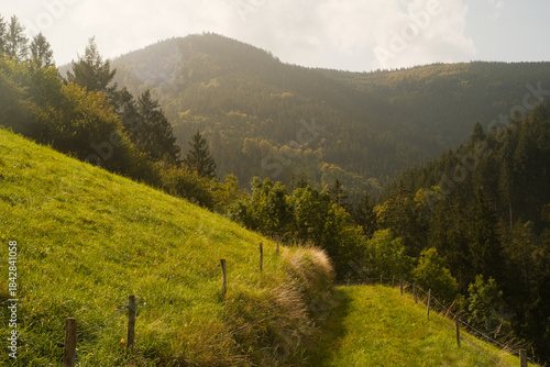 Black Forest landscape