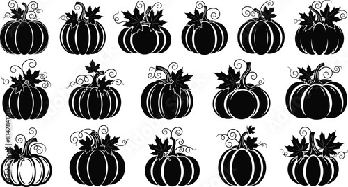Black Silhouette Pumpkin Set, Various Shapes and Sizes, Autumn Harvest Decoration, Spooky Halloween Vector Clip Art Collection on White Background.