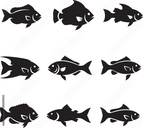 Colorful fish swimming in ocean water