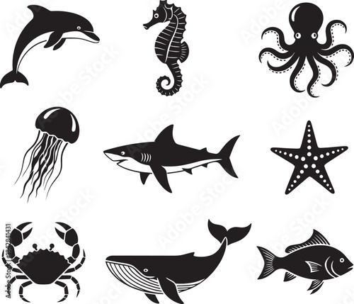 Fresh fish on white background