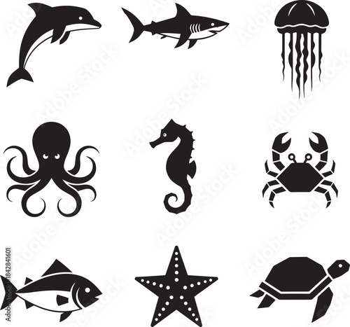 Colorful fish isolated on white background