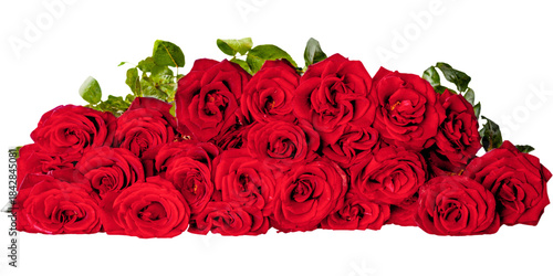 bouquet of red roses