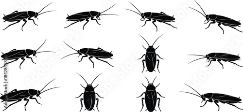 Cockroach silhouettes, insect icons, black vector, pest shape, bug grid, side view, top view, animal pose, illustration, comparisonCockroach silhouettes, insect icons, black vector, pest shape