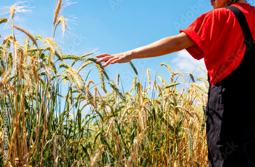 Female agricultural worker touching cereal plants in a farming field against bright sky.