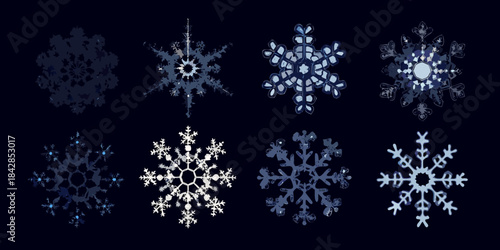 A collection of detailed crystalline snowflake designs against a dark background