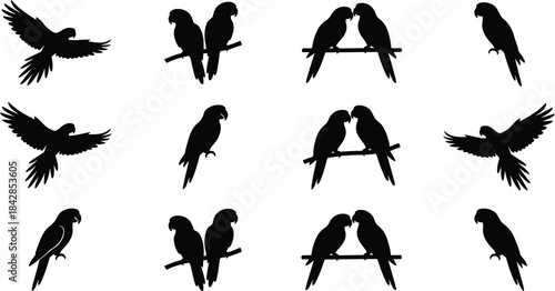Parrot silhouettes, flying bird, perched parrot, black vector, tropical animal, bird icon, wildlife pose, pet illustration, exotic species, gridParrot silhouettes, flying bird, perched parrot