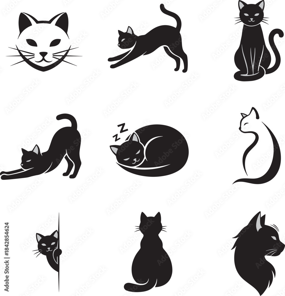 Naklejka premium Domestic cats isolated on white background