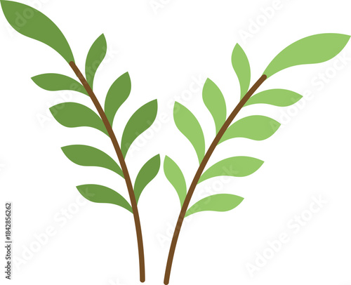 Green plant branches vector