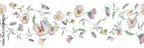 
Watercolor pansies and viola wildflowers seamless border. Botanical background. Floral illustration. Vector EPS.