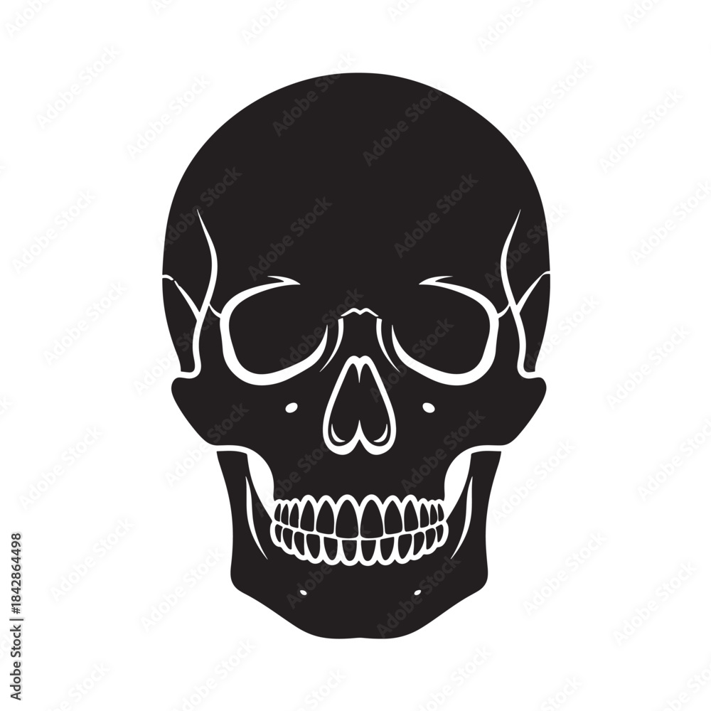 Fototapeta premium Black Human Skull Silhouette with White Details Isolated on White Background