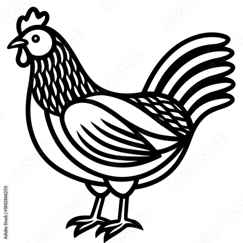 Elegant black and white line art illustration of a hen perfect for farm themed designs and children's illustrations