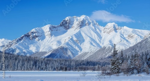 Wallpaper Mural Snow-covered mountain peaks with winter forest landscape Torontodigital.ca