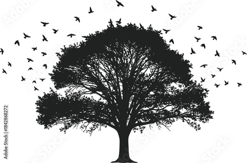 Symbolic silhouette tree with falling leaves represents change and natural cycles isolated on white background